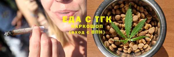 индика Нязепетровск