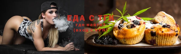 индика Нязепетровск