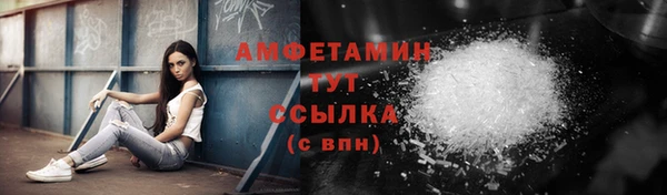 индика Нязепетровск