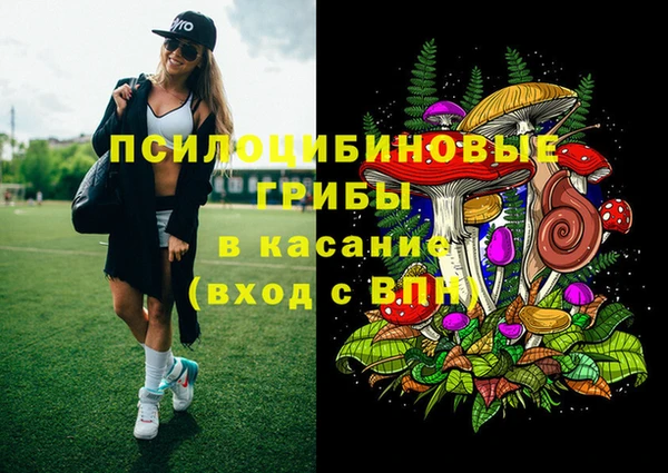 МДПВ Няндома