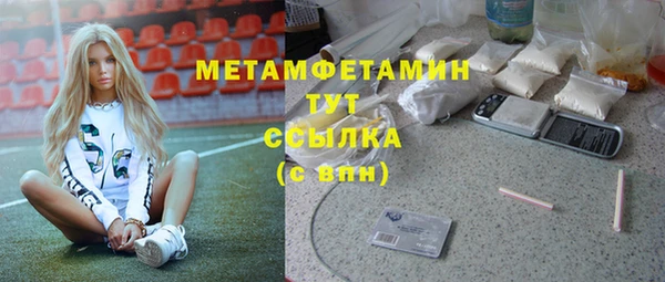 индика Нязепетровск