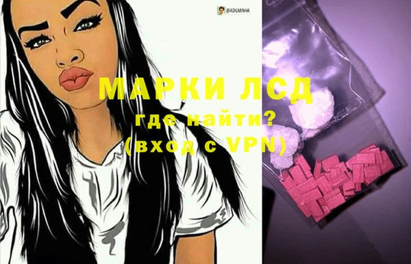 индика Нязепетровск