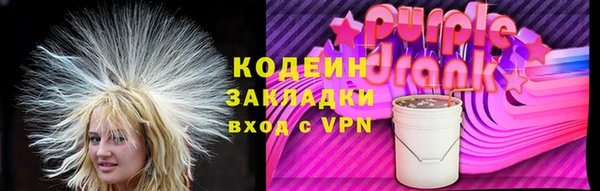 индика Нязепетровск