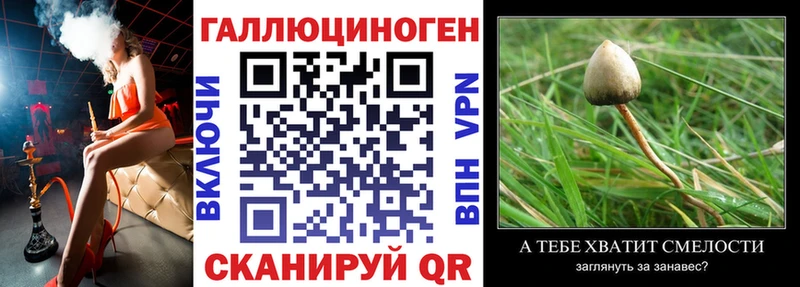Псилоцибиновые грибы прущие грибы Серафимович